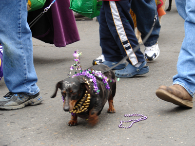 kreweofbarkus2006_00688