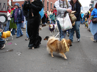 kreweofbarkus2006_00690