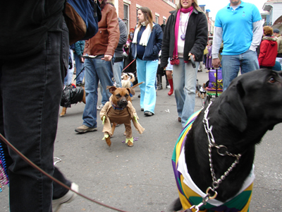 kreweofbarkus2006_00694