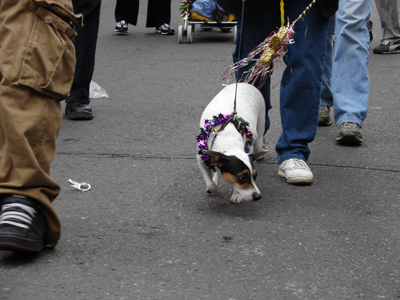 kreweofbarkus2006_00699