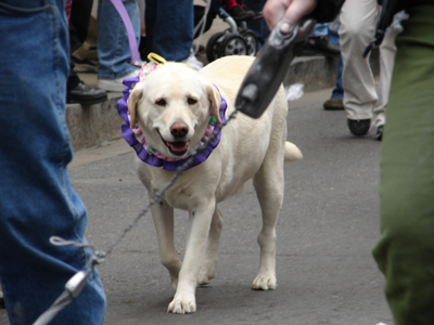 kreweofbarkus2006_00701