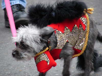 kreweofbarkus2006_00702