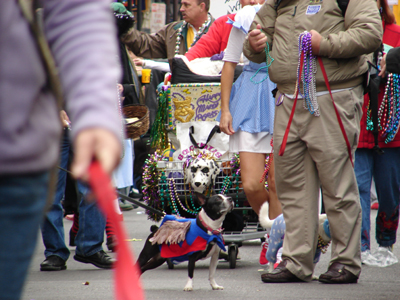 kreweofbarkus2006_00708