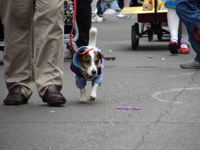 kreweofbarkus2006_00709