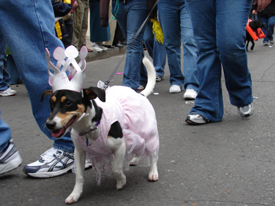 kreweofbarkus2006_00720