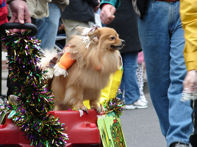 kreweofbarkus2006_00724