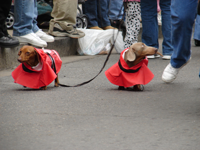 kreweofbarkus2006_00728