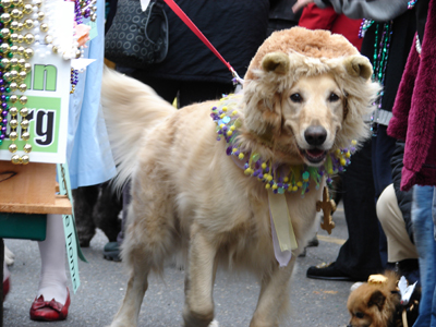 kreweofbarkus2006_00732