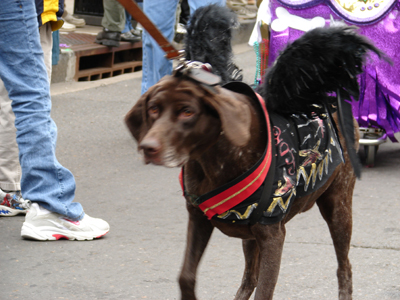 kreweofbarkus2006_00736