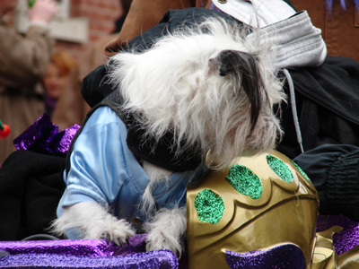 kreweofbarkus2006_00737