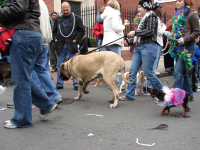 kreweofbarkus2006_00743