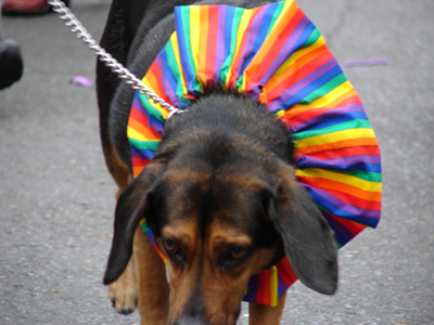 kreweofbarkus2006_00744