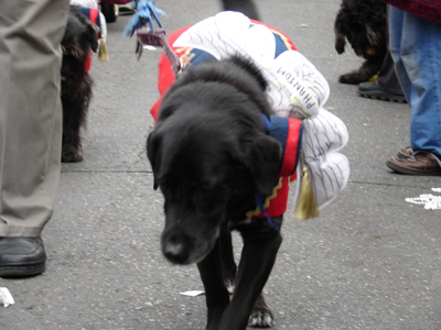 kreweofbarkus2006_00755