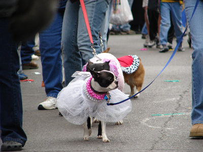 kreweofbarkus2006_00758