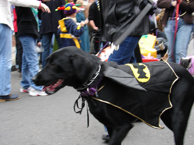 kreweofbarkus2006_00760