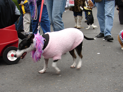 kreweofbarkus2006_00761