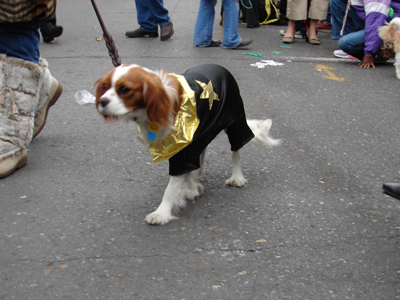 kreweofbarkus2006_00762