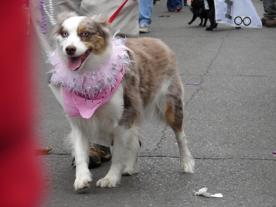 kreweofbarkus2006_00768