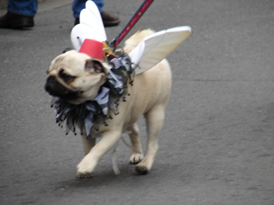 kreweofbarkus2006_00769