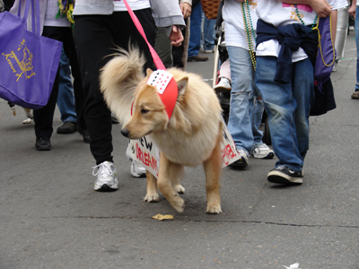 kreweofbarkus2006_00771