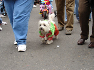 kreweofbarkus2006_00774