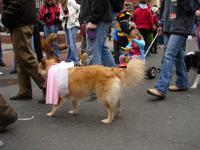 kreweofbarkus2006_00775