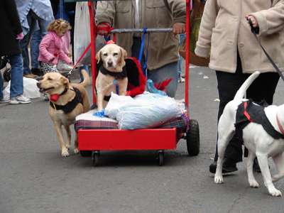 kreweofbarkus2006_00777