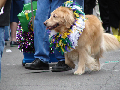 kreweofbarkus2006_00778