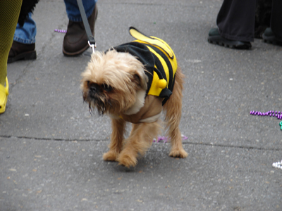 kreweofbarkus2006_00781