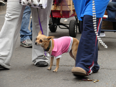 kreweofbarkus2006_00783