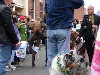 kreweofbarkus2006_00785