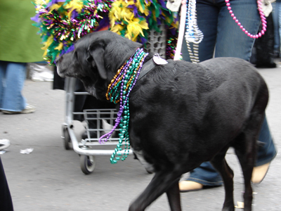 kreweofbarkus2006_00789