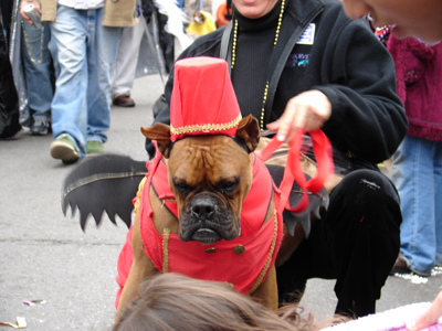 kreweofbarkus2006_00790