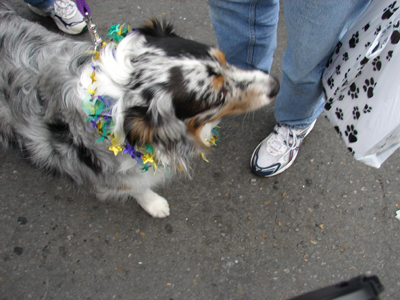 kreweofbarkus2006_00793