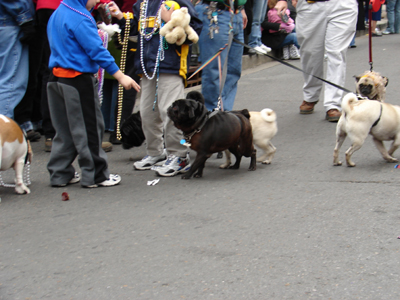 kreweofbarkus2006_00795