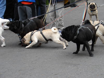 kreweofbarkus2006_00796