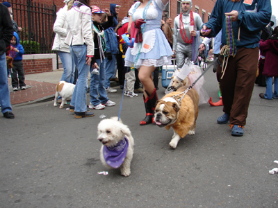 kreweofbarkus2006_00799