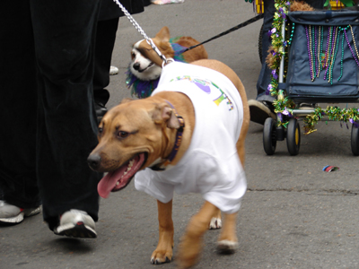 kreweofbarkus2006_00802