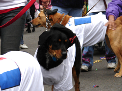 kreweofbarkus2006_00805