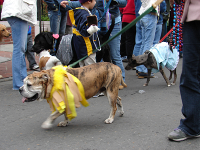 kreweofbarkus2006_00806