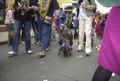 kreweofbarkus2006_00829