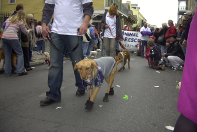 kreweofbarkus2006_00831