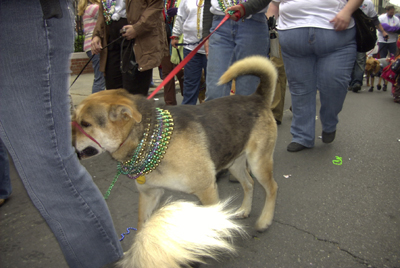 kreweofbarkus2006_00832