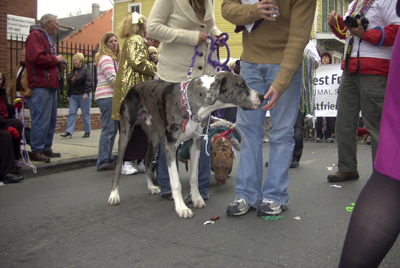 kreweofbarkus2006_00835