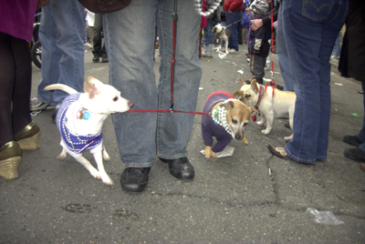 kreweofbarkus2006_00836