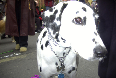 kreweofbarkus2006_00837