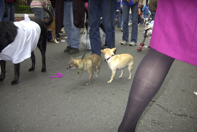 kreweofbarkus2006_00839