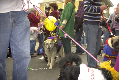 kreweofbarkus2006_00851