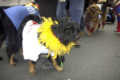 kreweofbarkus2006_00852