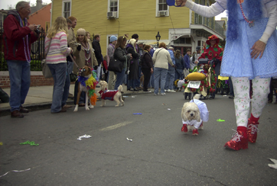 kreweofbarkus2006_00855